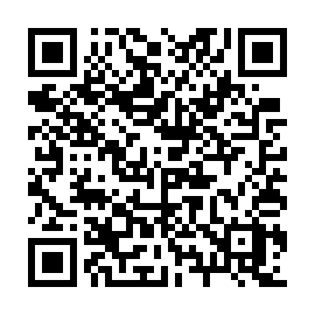 QR code for 295WQX