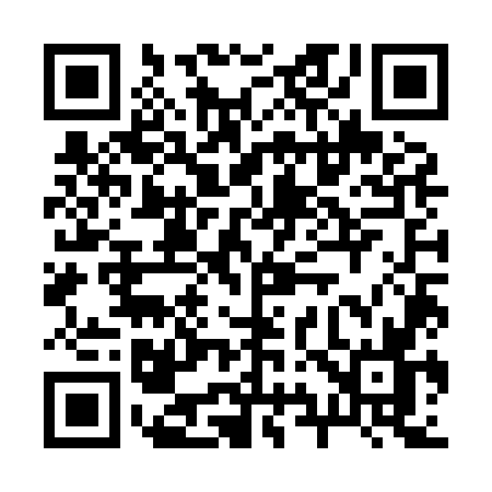 QR code for 295X