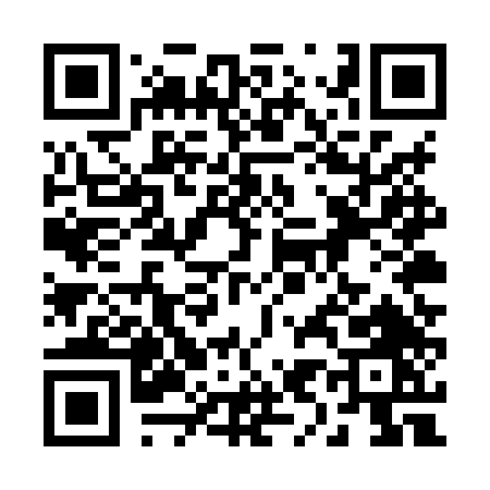 QR code for 295XT