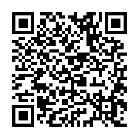 QR code for 295YN