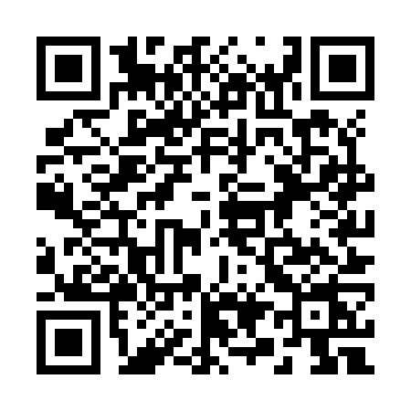 QR code for 295Z