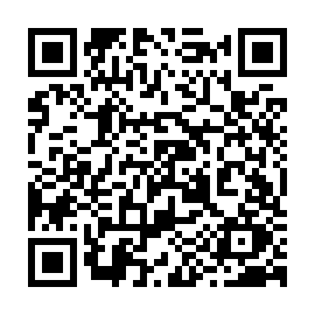 QR code for 299K