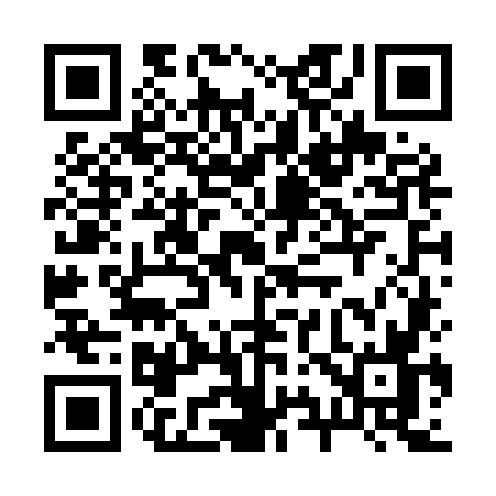 QR code for 299M