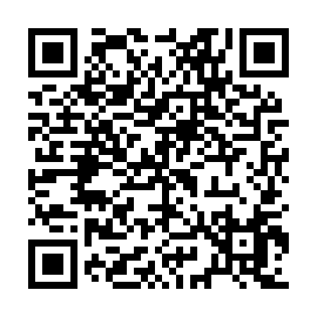 QR code for 299MQ