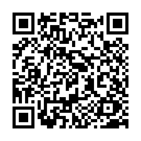 QR code for 299P