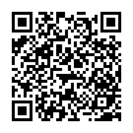 QR code for 299PH