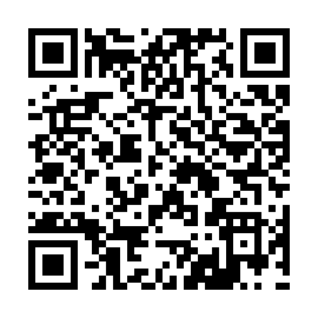QR code for 299SV