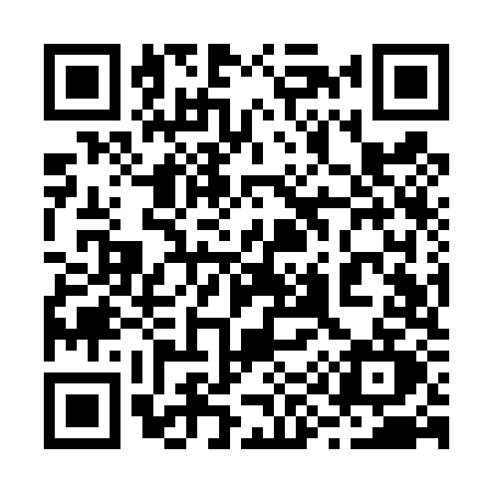 QR code for 299T