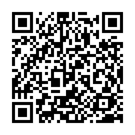 QR code for 299ZSJ