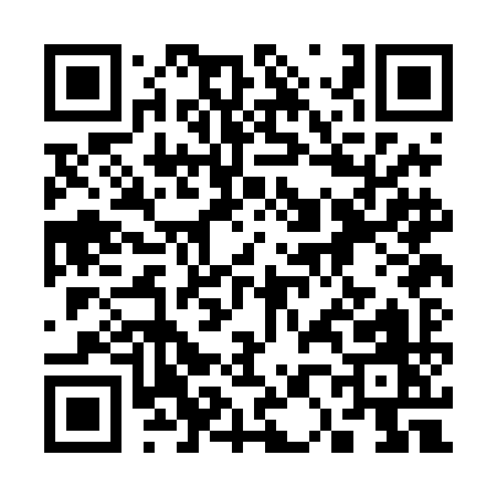 QR code for 300DI