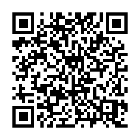 QR code for 300LIP