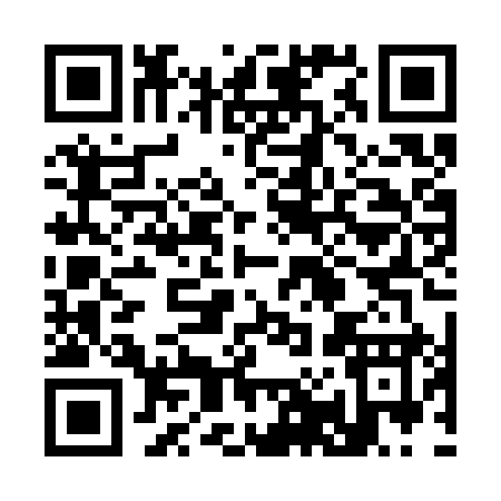 QR code for 300SY