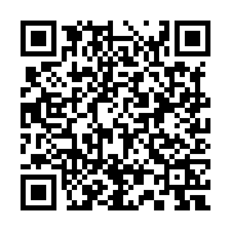 QR code for 300X