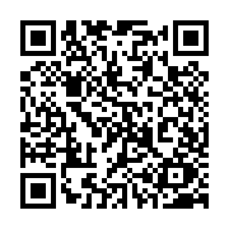 QR code for 301P