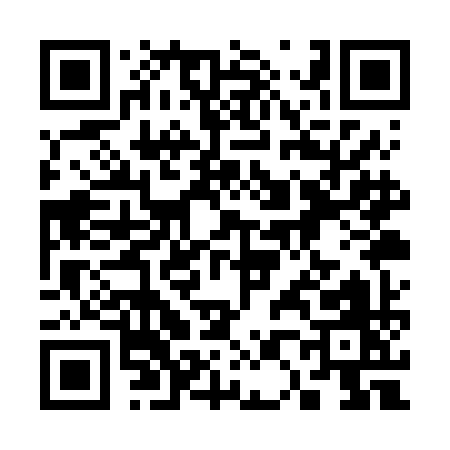 QR code for 301VI