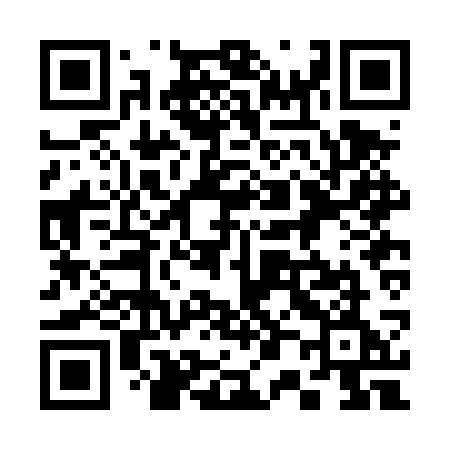 QR code for 302DSE