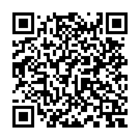 QR code for 303DPP