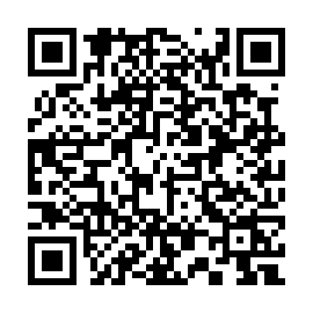 QR code for 303P