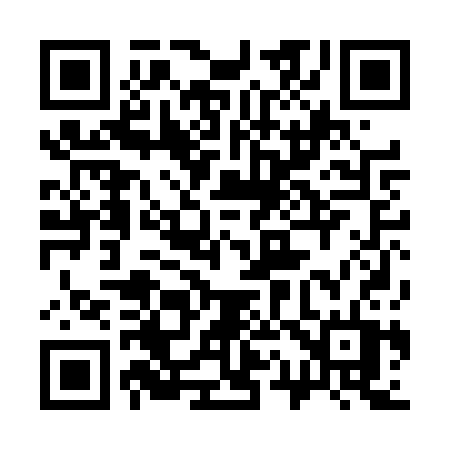 QR code for 310DST