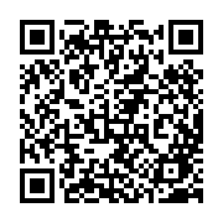 QR code for 310PMG