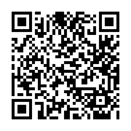 QR code for 311DDU