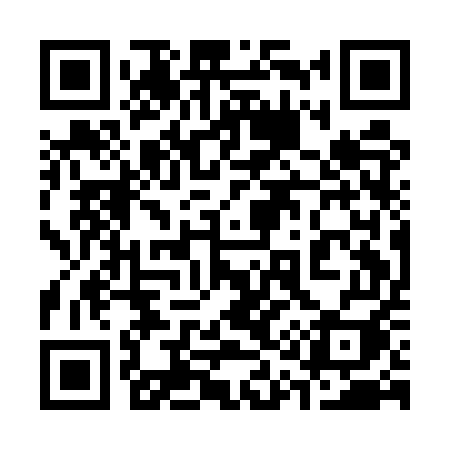 QR code for 311EUI