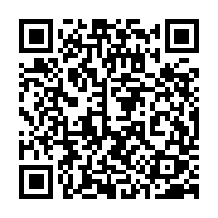 QR code for 311IDY