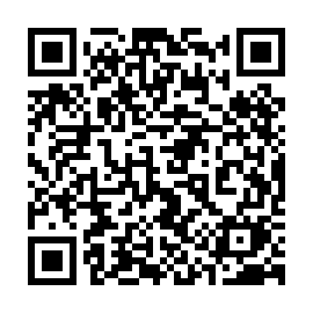 QR code for 311PGM