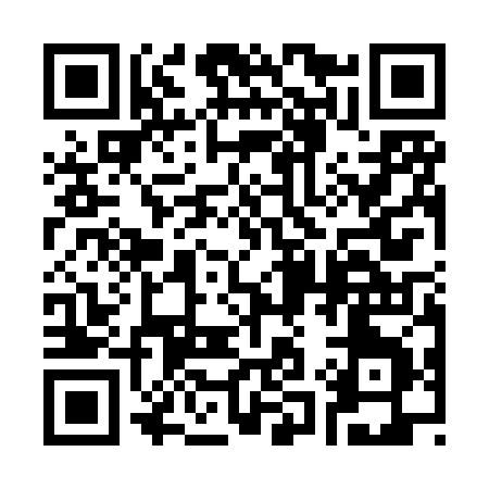 QR code for 311XZ