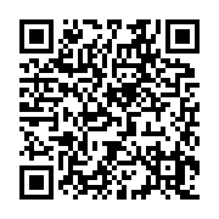 QR code for 311ZZ