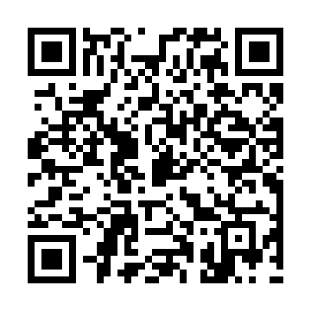 QR code for 313BIG