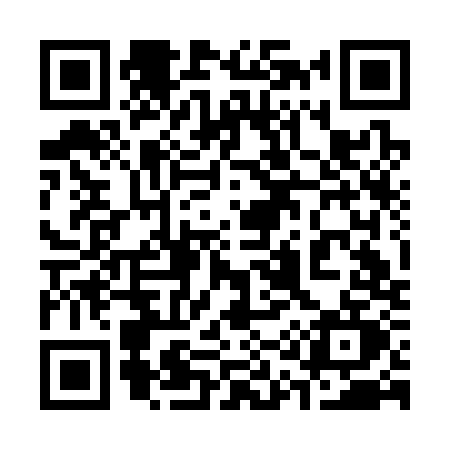 QR code for 313C