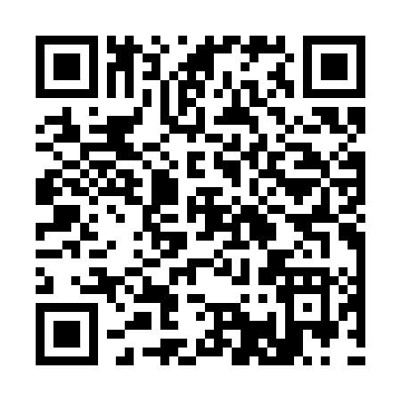 QR code for 313CL
