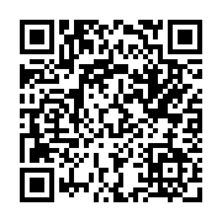 QR code for 313CW