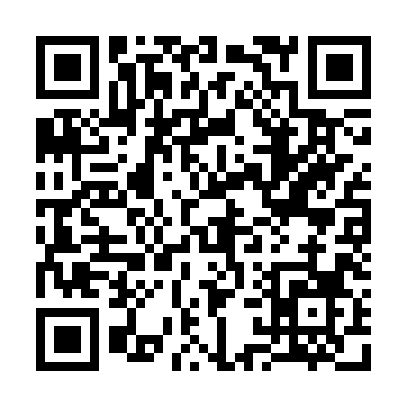 QR code for 313CX