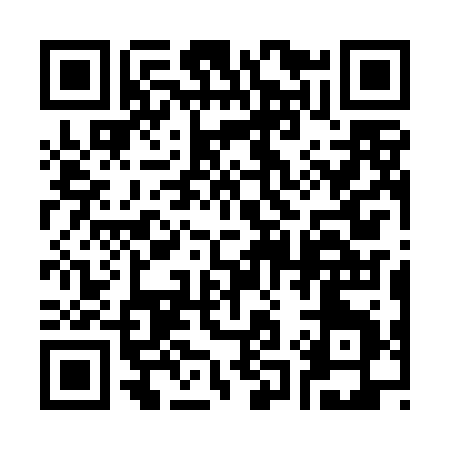 QR code for 313DB