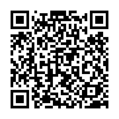 QR code for 313DKI