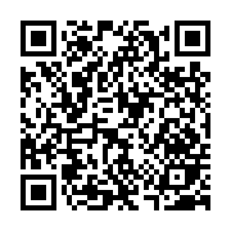 QR code for 313DP