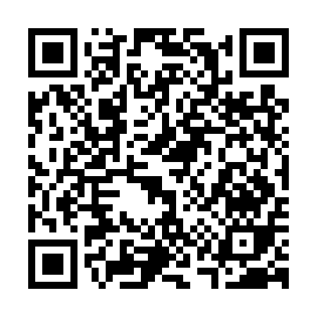 QR code for 313DQ