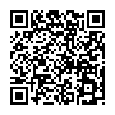 QR code for 313FE