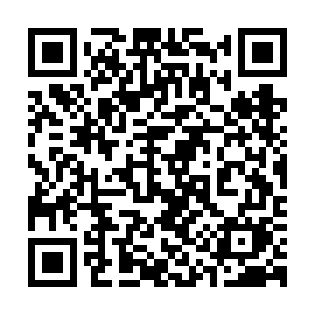 QR code for 313FGM