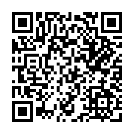QR code for 313FI