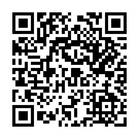 QR code for 313FM