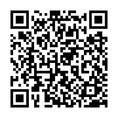 QR code for 313GZS