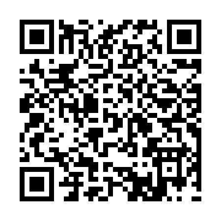 QR code for 313HI