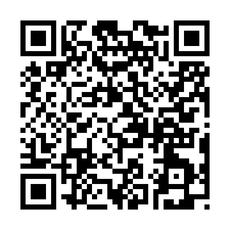 QR code for 313HS