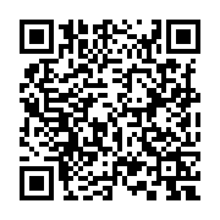 QR code for 313I