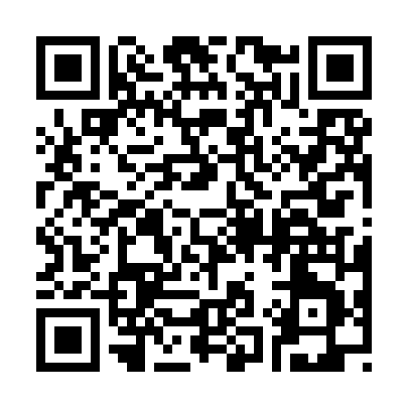 QR code for 313IN