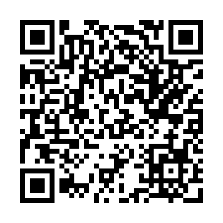 QR code for 313IP