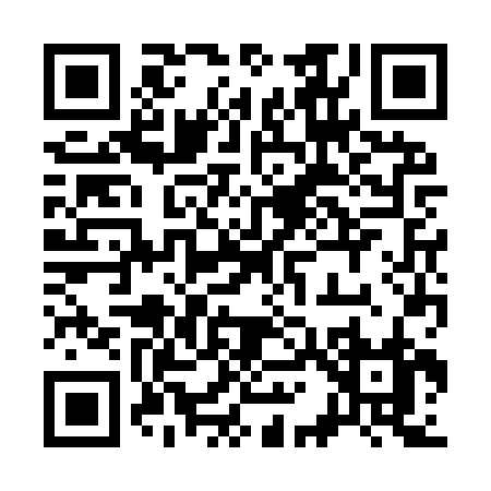 QR code for 313IR